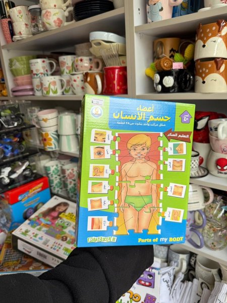 أعضاء الجسم
